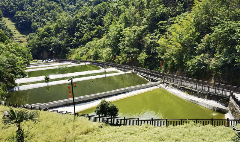 陜西省白河縣：好山好水養(yǎng)好魚